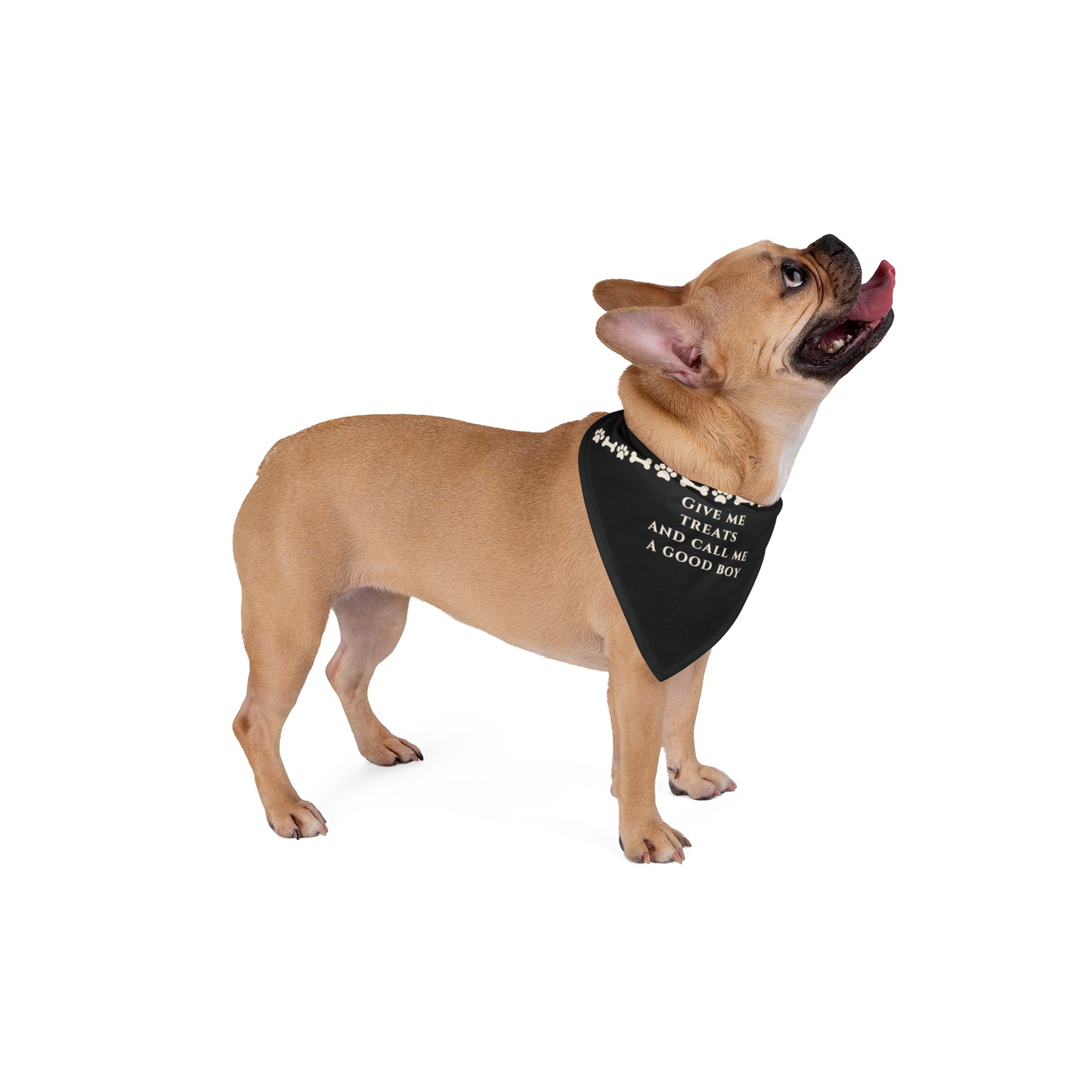 ‘Give me treats’ Pet Bandana