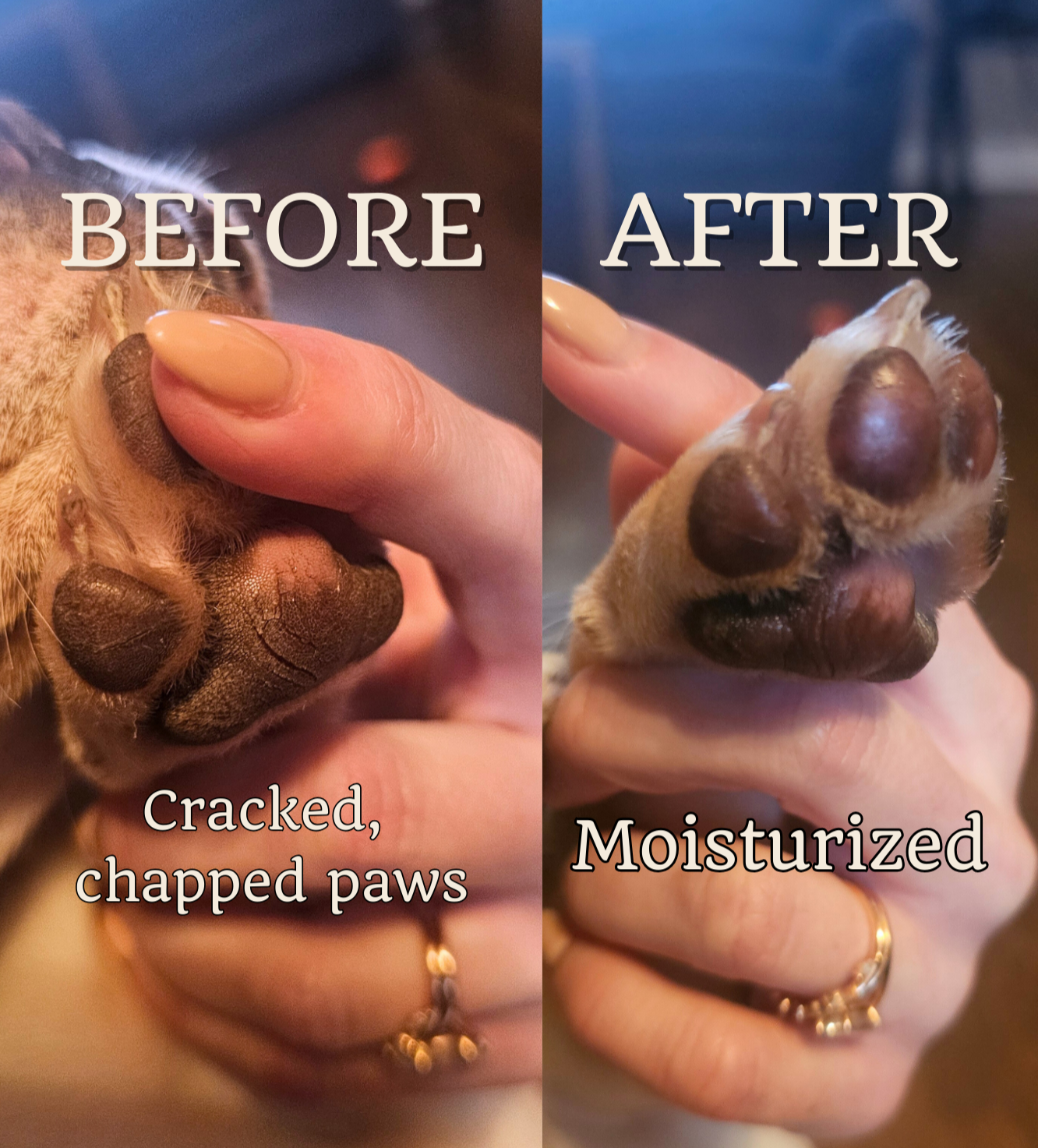 Puppy Balm (moisturizer for puppy noses and paw pads)